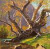 Rich Gallego: Autumn Gold - Paint Landscapes with Impact