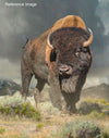 Dustin Van Wechel: Painting Dynamic Wildlife