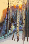 Stephen Quiller: Color Foundation for the Painter