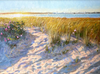 Mark Shasha: Shimmering Light